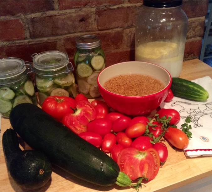 Fermenting cucumbers, sprouting spelt grains, kefir, zucchini, tomatoes